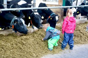 sonnenhof-gbr-quelle-lahn-dill-kreis (10)