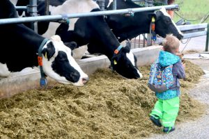 sonnenhof-gbr-quelle-lahn-dill-kreis (11)