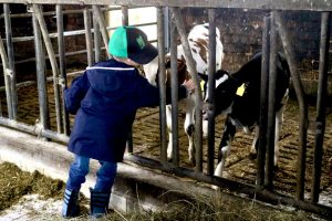 sonnenhof-gbr-quelle-lahn-dill-kreis (12)