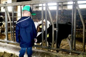 sonnenhof-gbr-quelle-lahn-dill-kreis (13)