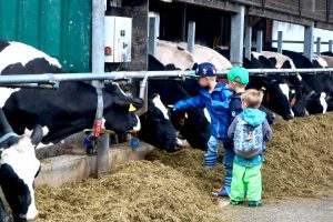 sonnenhof-gbr-quelle-lahn-dill-kreis (7)