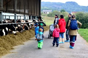 sonnenhof-gbr-quelle-lahn-dill-kreis (8)