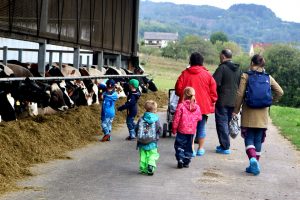 sonnenhof-gbr-quelle-lahn-dill-kreis (9)